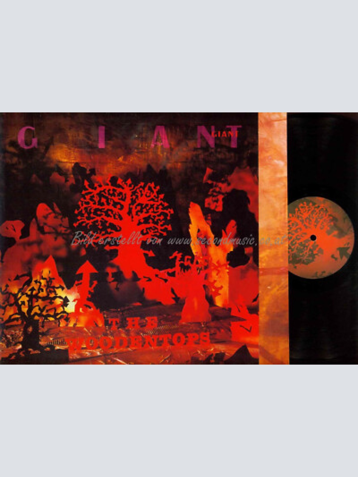 LP--   The Woodentops  Giant