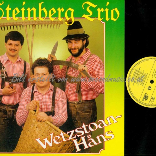 LP-- Steinberg Trio --  Wetzstoan Hans / NM