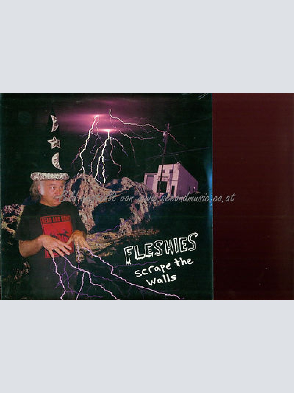 LP-- FLESHIES SCRAPE THE WALLS // NEW SEALED / VIRUS 361