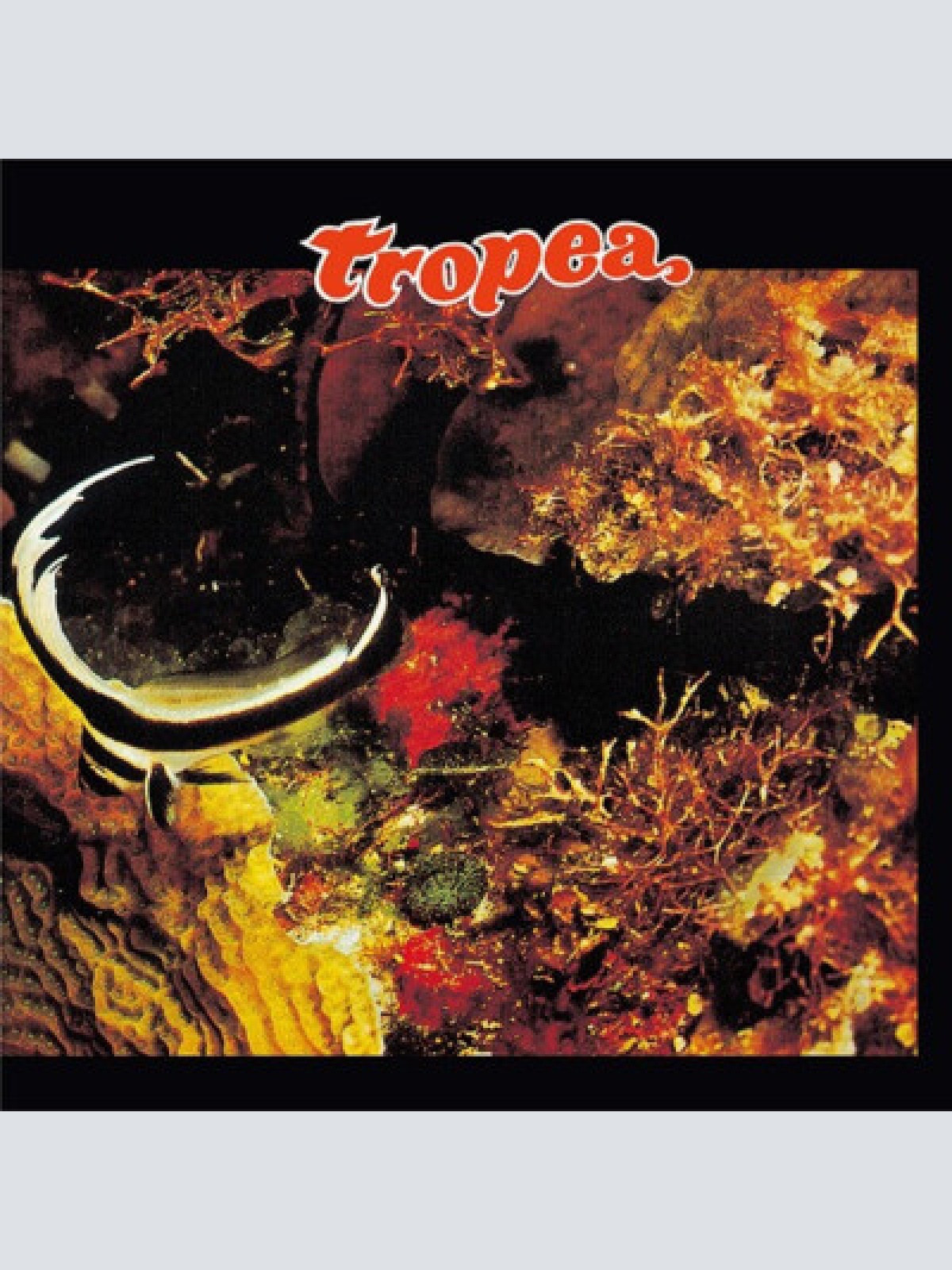 CD, Album, RE John Tropea - Tropea