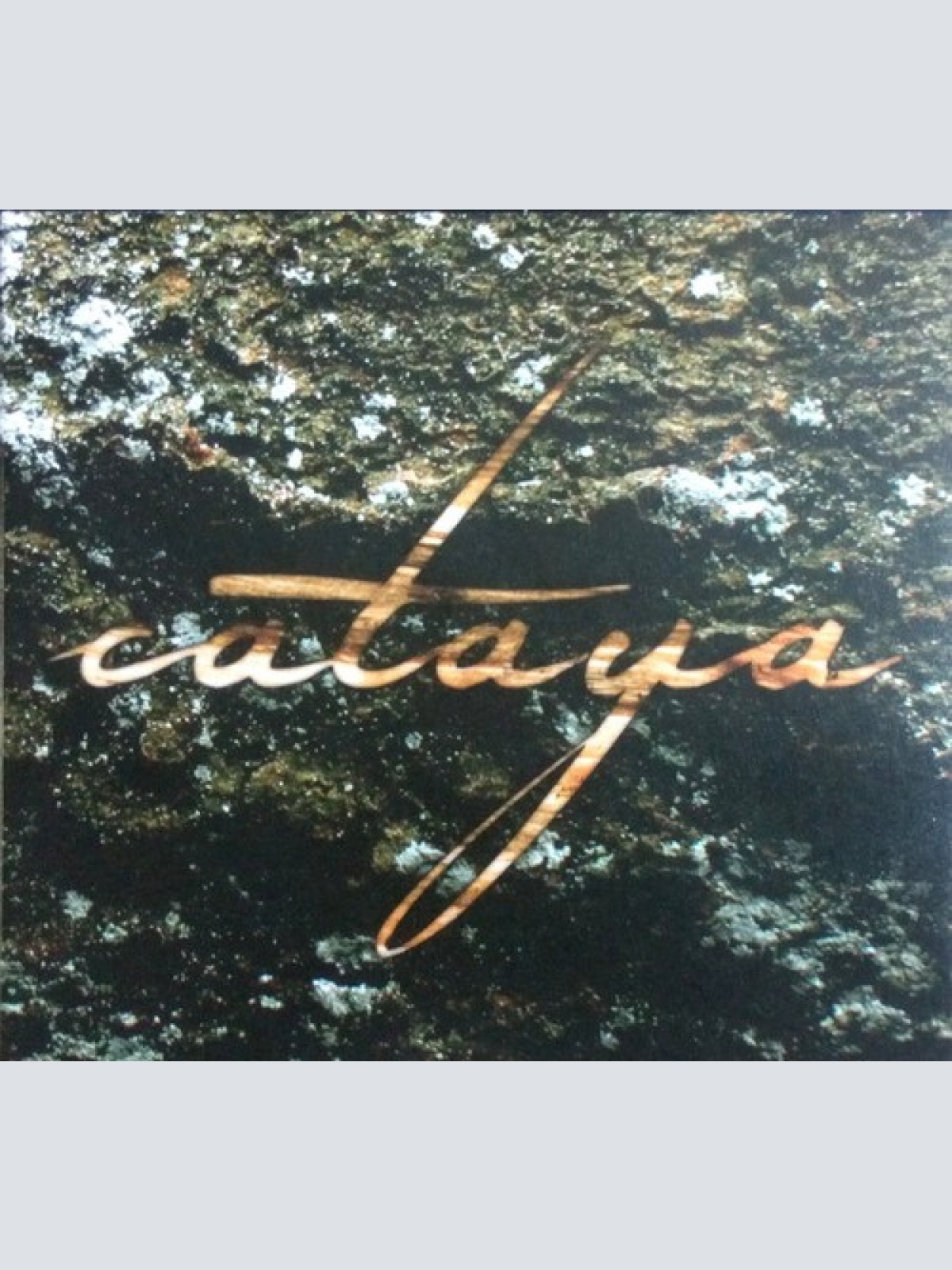 CD, Album Cataya - Sukzession