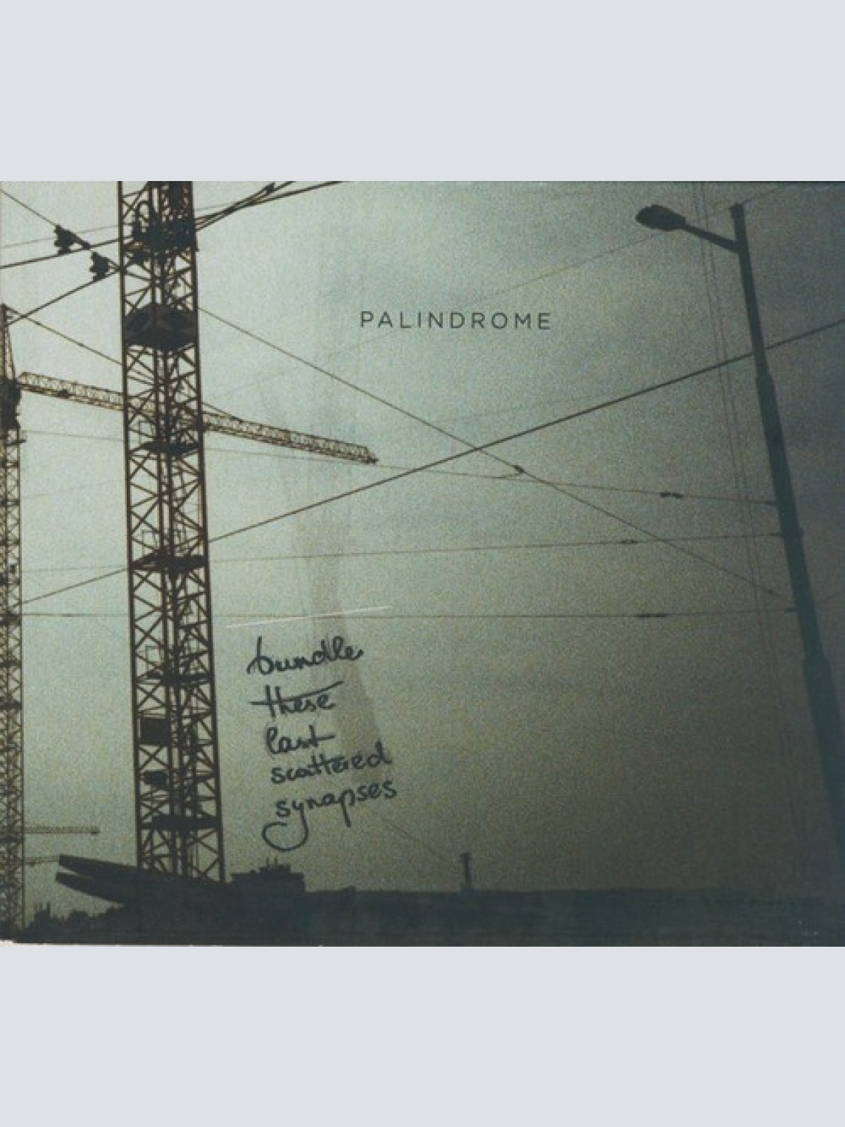 CD, EP, Dig Palindrome (4) - Bundle These Last Scattered Synapses