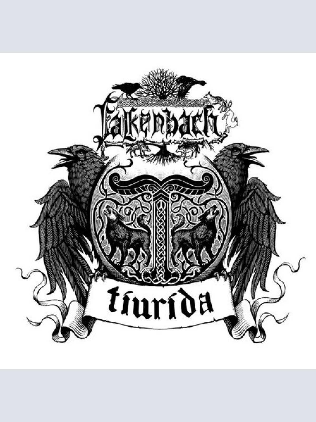 CD, Album + Box, Ltd Falkenbach - Tiurida