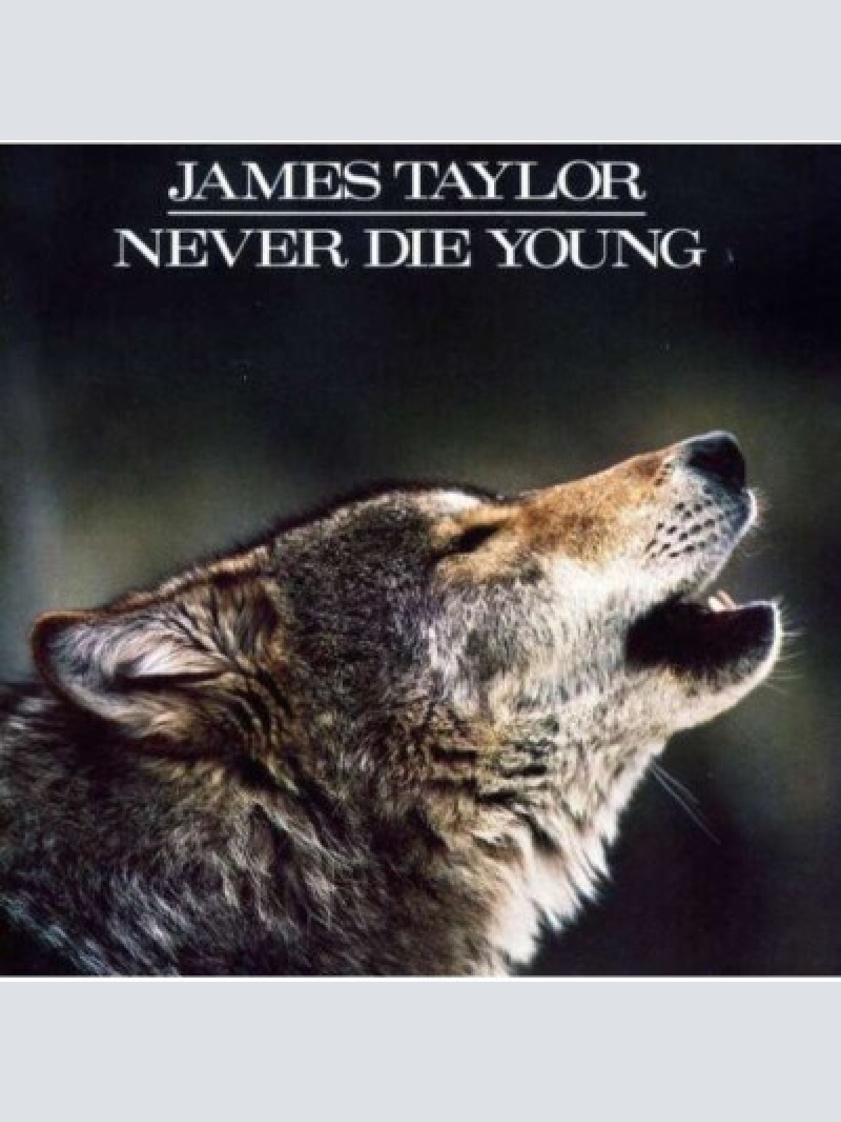 CD, Album James Taylor (2) - Never Die Young