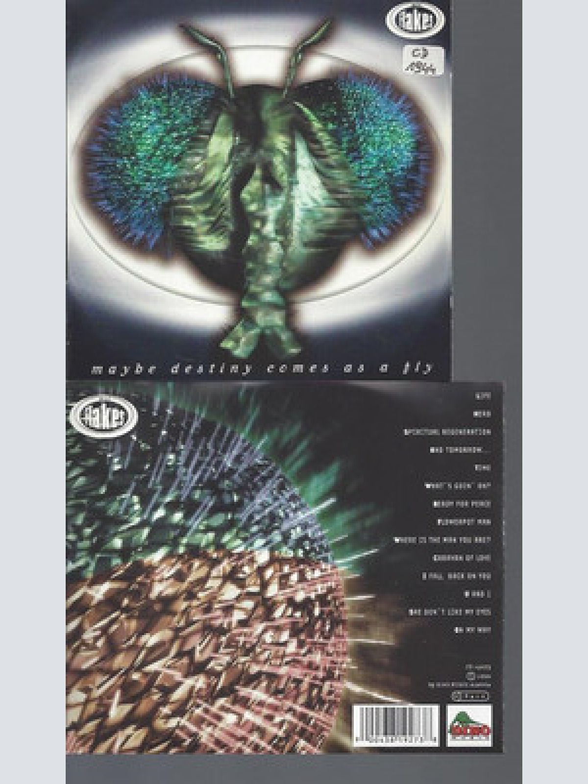 CD-THE FLAKES MAYBE DESTINY COMES AS A FLY