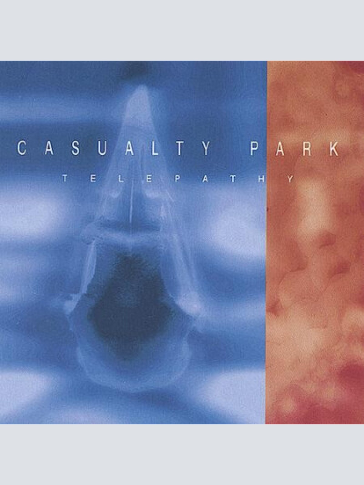 CD, Album, Enh Casualty Park - Telepathy