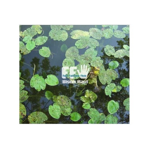 CD, Album Full Fathom Five - Bison Ravi