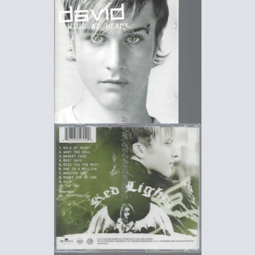 CD--DAVID--WILD AT HEART