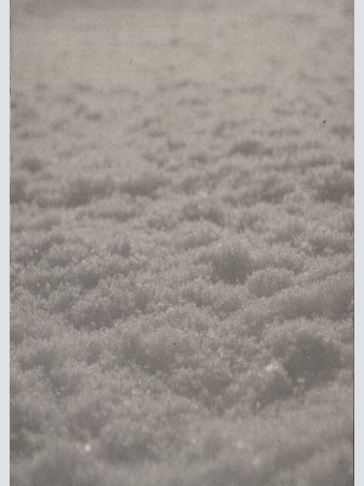 CD, Comp Paysage D'Hiver - Schnee