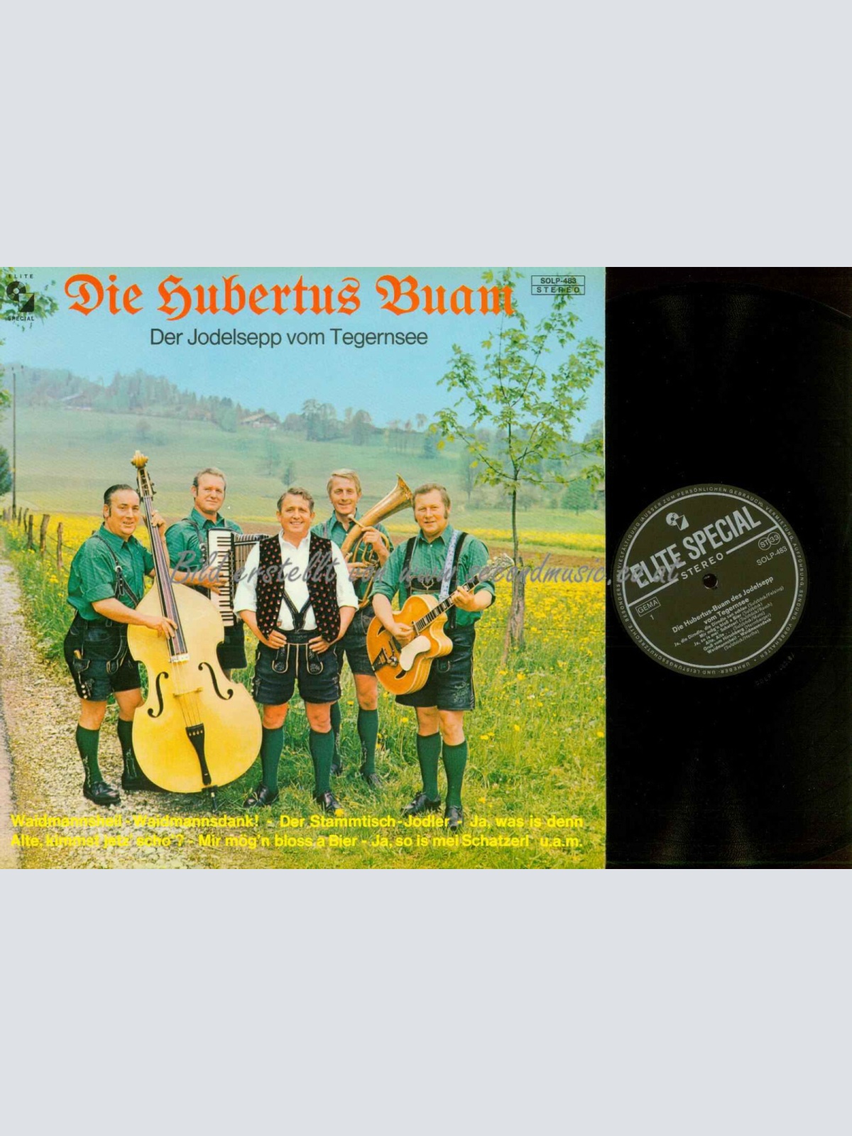 LP--Die Hubertus Buam --  Der Jodelsepp vom Teggernsee   //NM