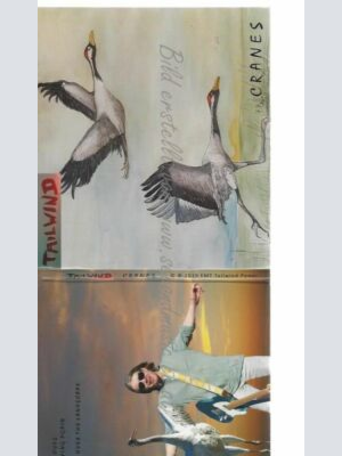 CD-- TAILWIND POWER  --CRANES