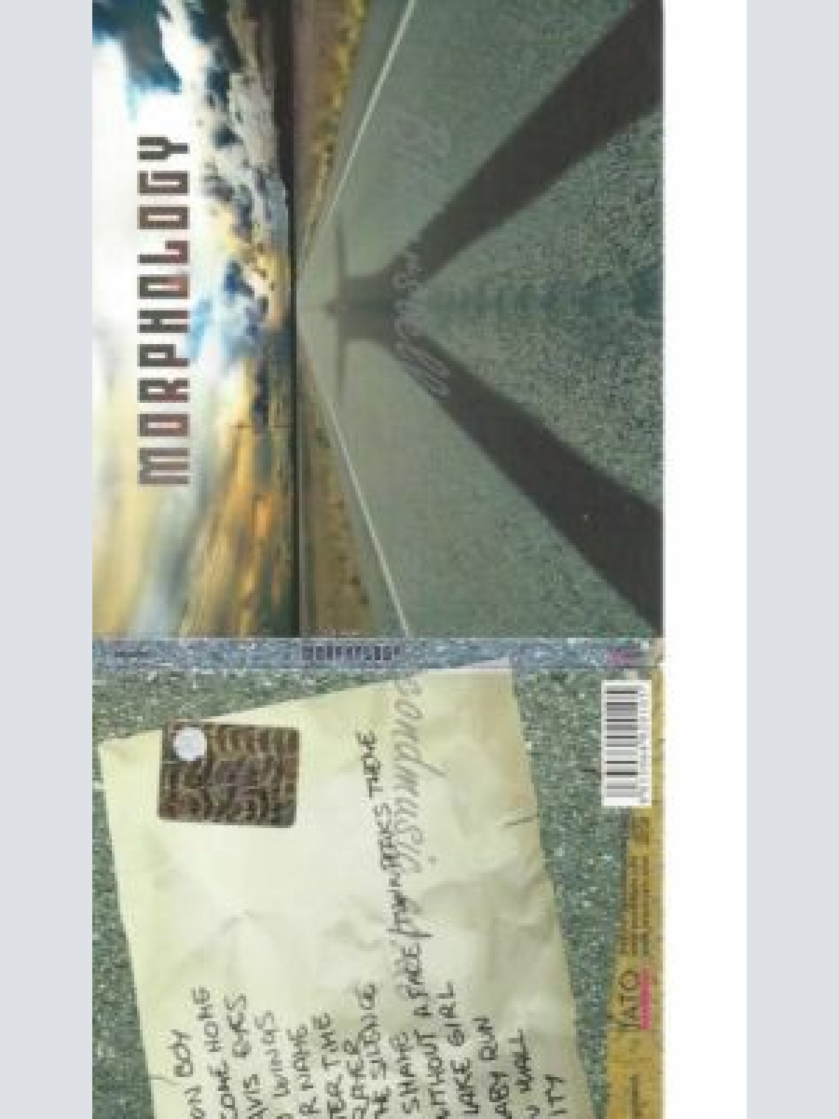 CD-- MORPHOLOGY--MORPHOLOGY