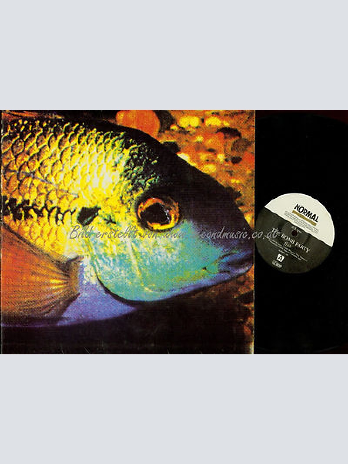 LP--FISH THE BOMB PARTY // FOC // NORMAL 103