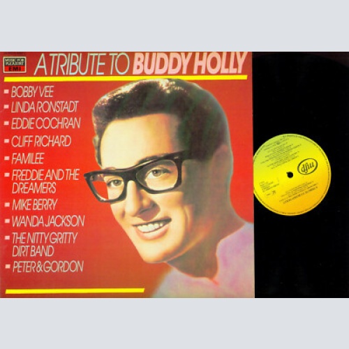 LP- Various -A Tribute To Buddy Holly--1583681
