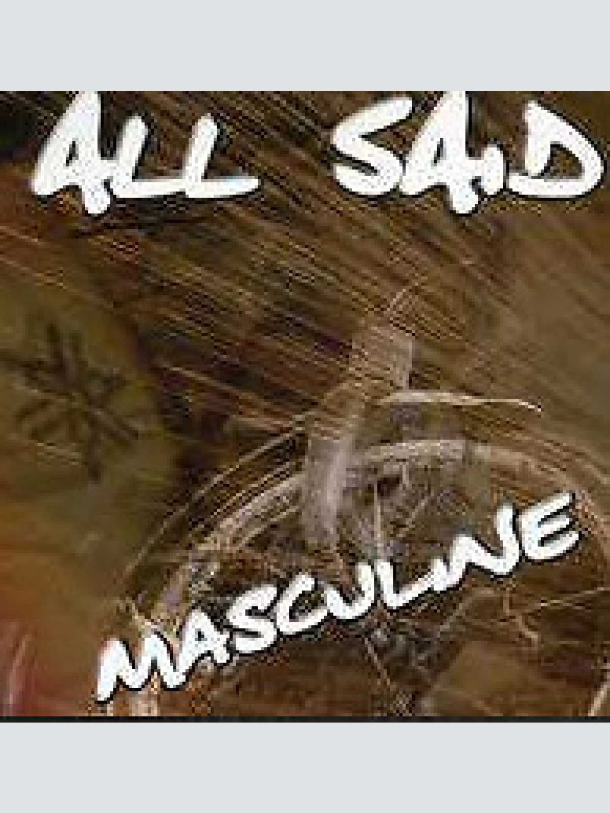 CD, Album All Said - Masculine