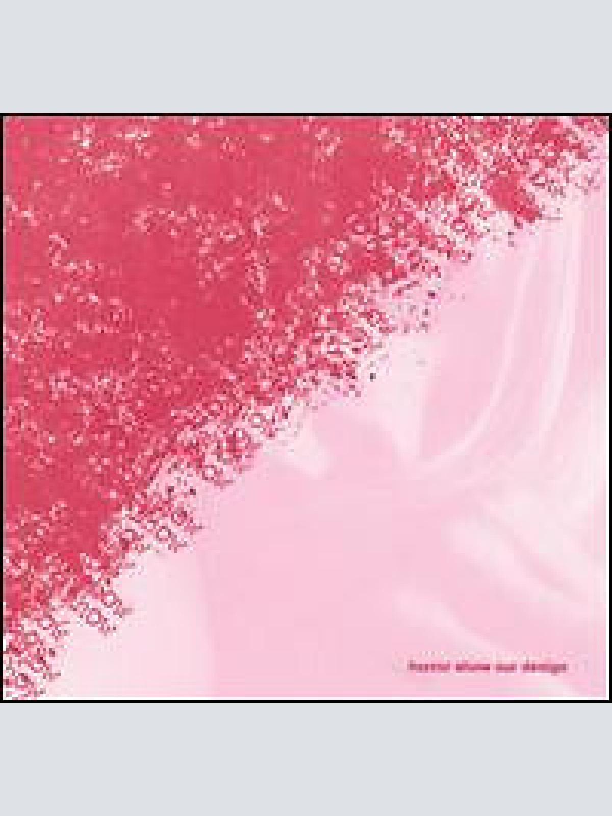 CD Horror Show - Our Design