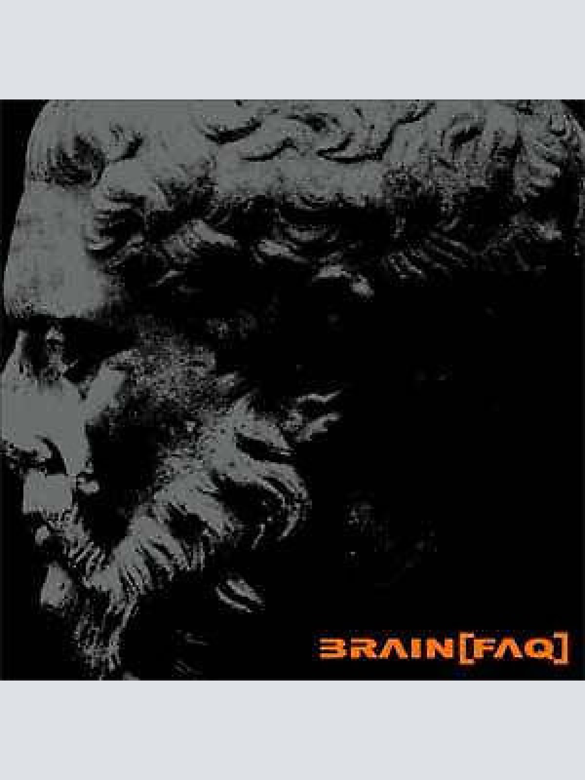 CD, Album Brain[Faq] - ...Nutze Die Zeit