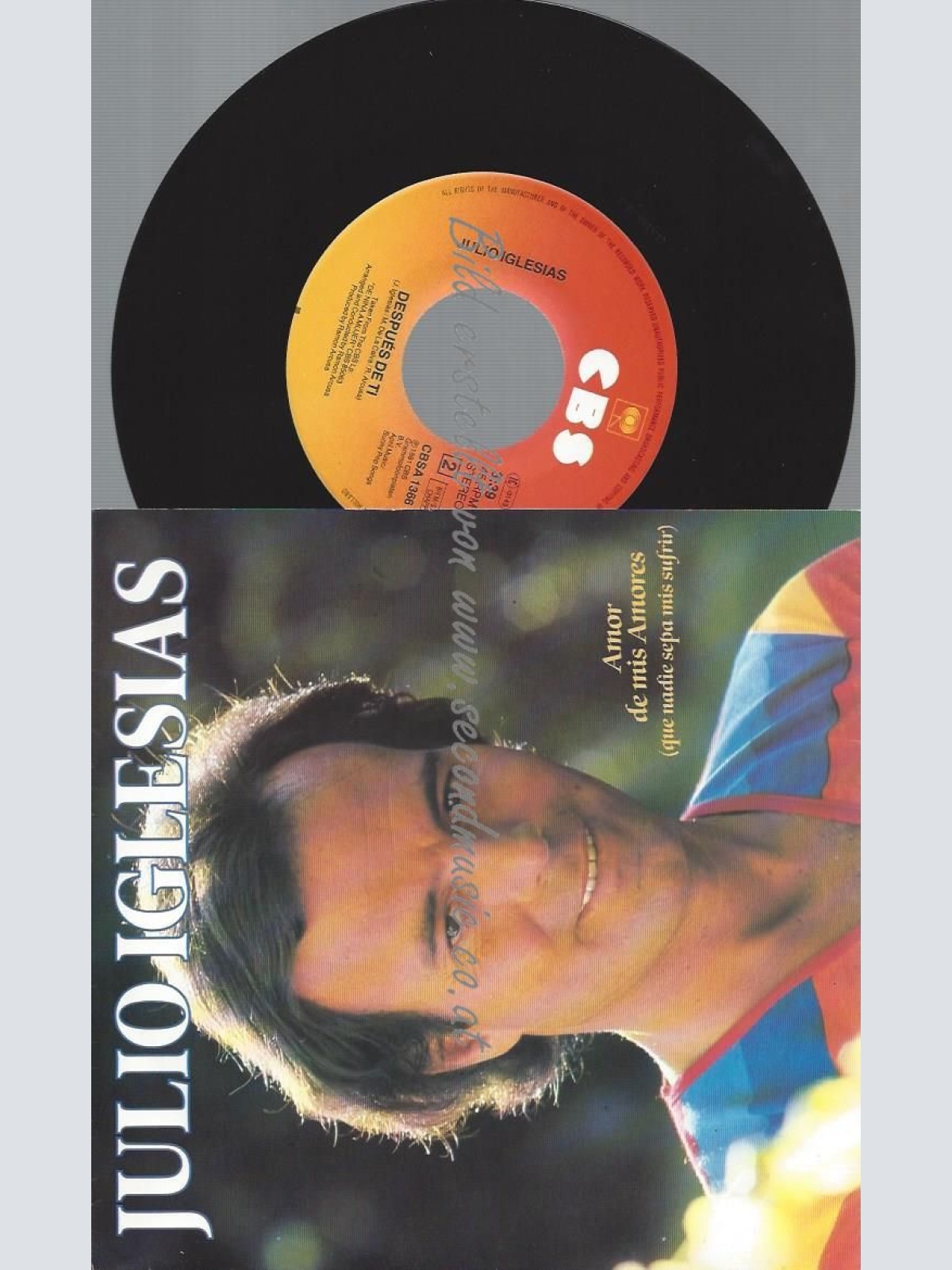 7"   Julio Iglesias  Amor De Mis Amores