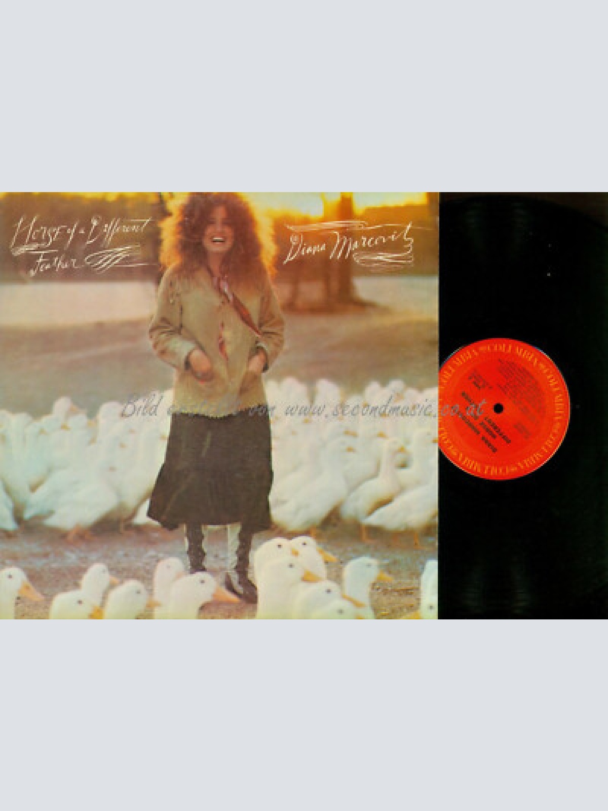 LP-   Diana Marcovitz  Horse Of A Different Feather // US LP