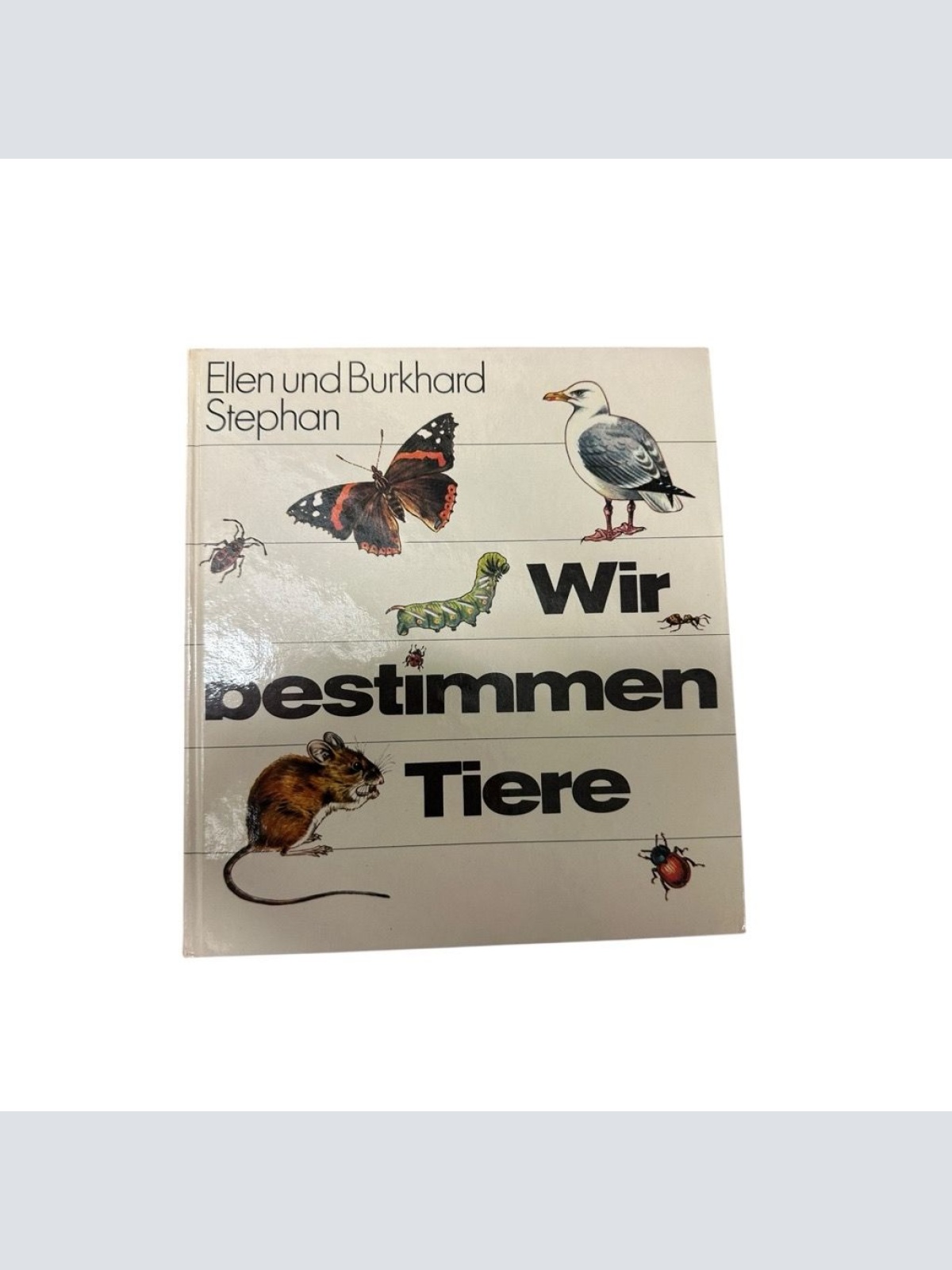 Wir bestimmen Tiere Ellen u. Burkhard Stephan. Zeichn. von Johannes Breitmeier S