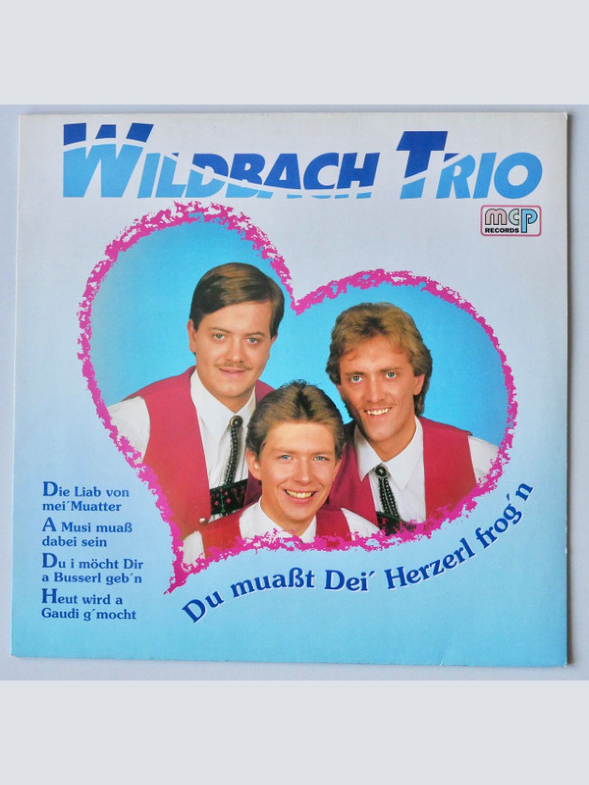 Wildbach Trio - Du Muasst Dei' Herzerl Frog'n (LP, Album)