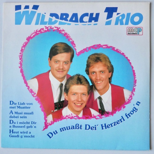 Wildbach Trio - Du Muasst Dei' Herzerl Frog'n (LP, Album)