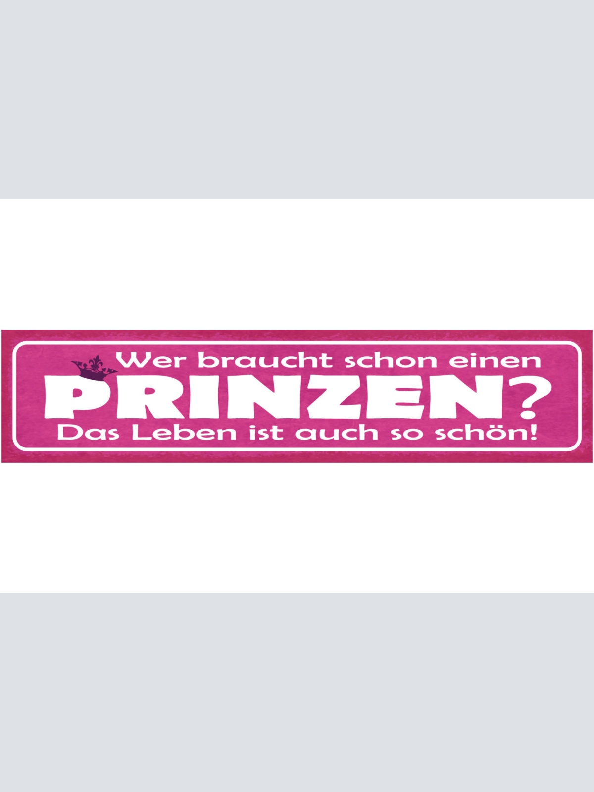 Schild Wer Braucht Schon Einen Prinzen Das Leben Ist Auch So Schön Liebe 46 x 10