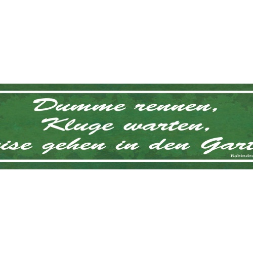 Schild Dumme Rennen Kluge Warten Weise Gehen In Den Garten 46 x 10 Blech od.Holz