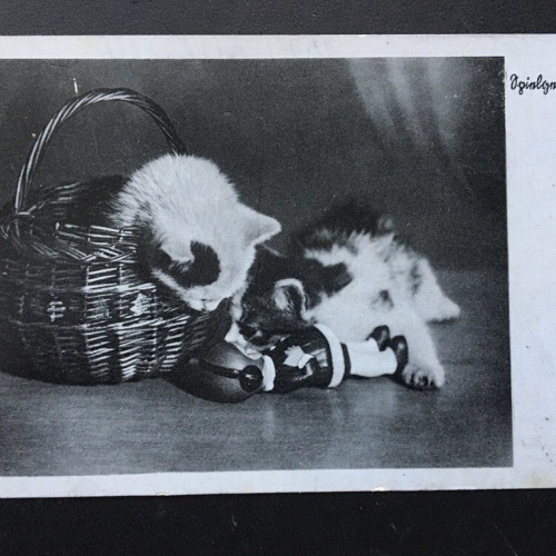 Spielgefährten - Spielende Katzen - Katzenkorb 400346 TH F