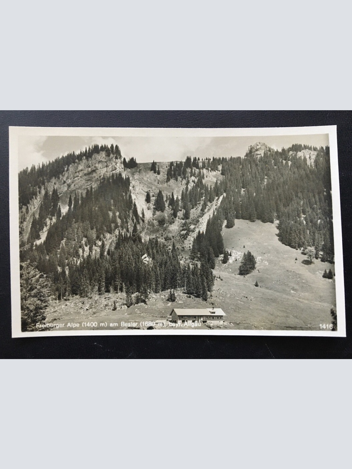 Freiburger Alpe am Bester - Oberstdorf - Bayr. Allgäu - Deutschland 400313 TH F