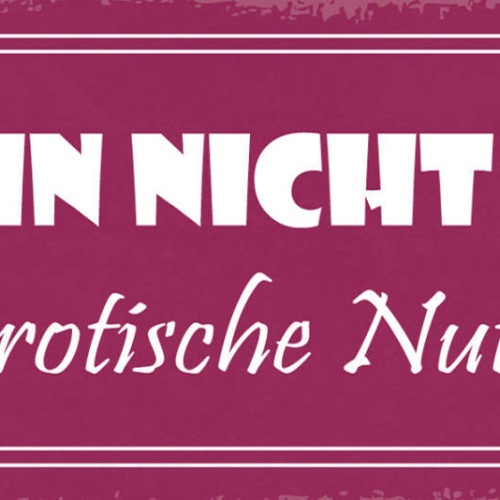 Schild Ich Bin Nicht Dick Das Ist Erotische Nutzfläche 27x10 Blech od.Holz
