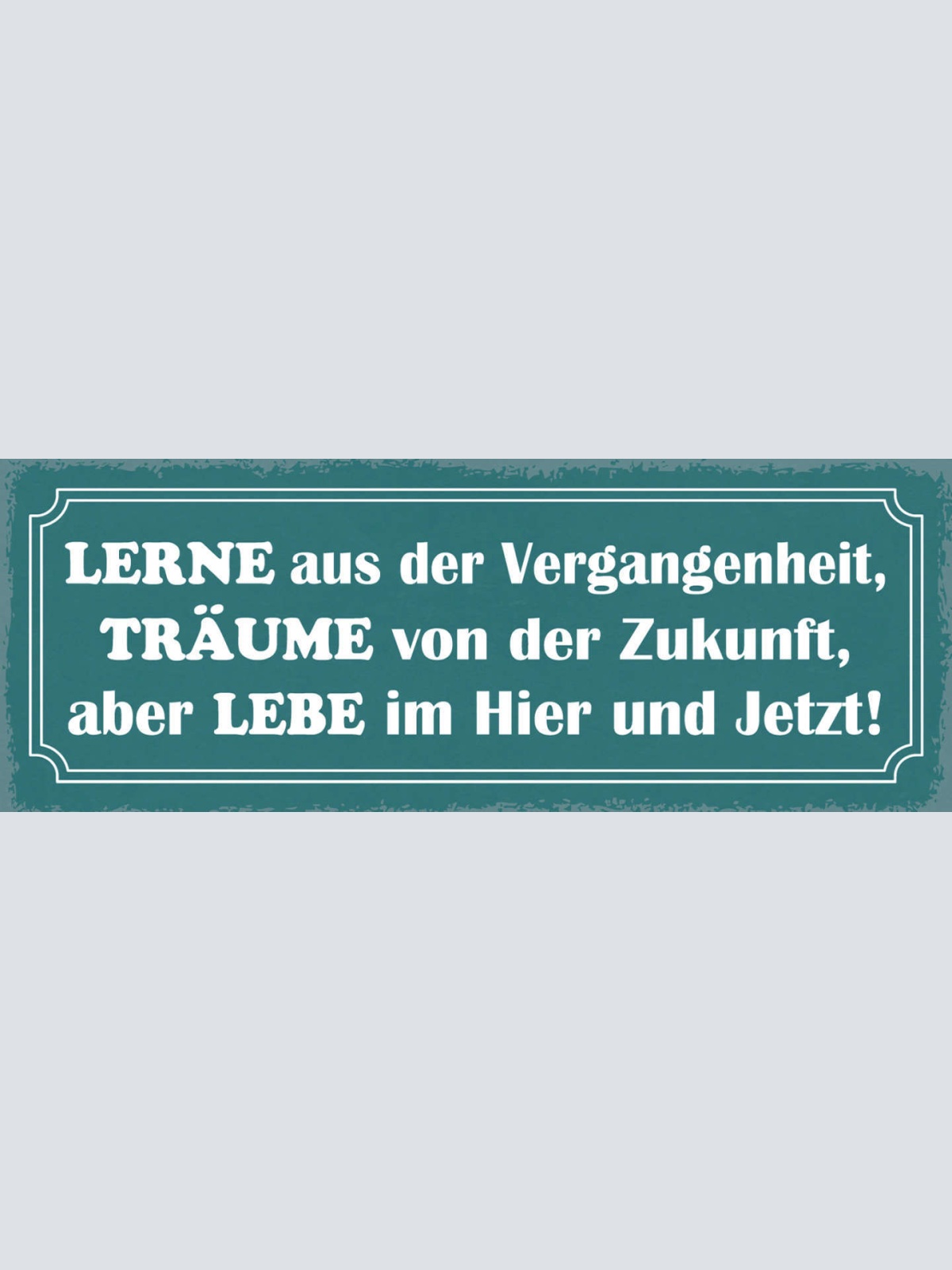 Schild Lerne Aus Der Vergangenheit Träume Von Der Zukunft Lebe Hier Jetzt 27x10