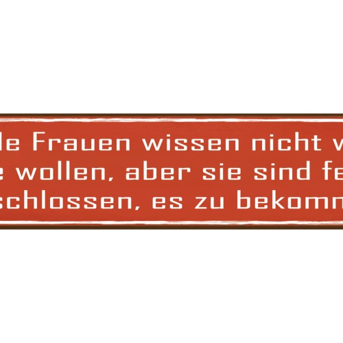 Schild Frauen Wissen Entschlossenheit Beziehung Frau Mann 46 x 10 Blech od. Holz