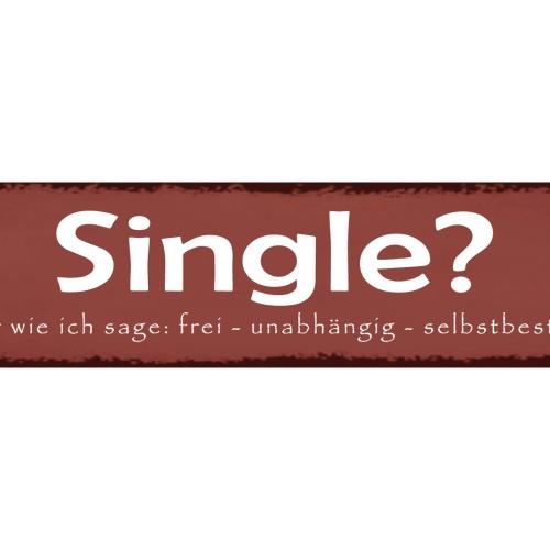 Schild Single Frei Unabhängig Selbstbestimmend Beziehung 46 x 10 Blech od. Holz