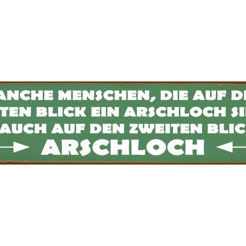 Schild Menschen Erster Zweiter Blick Arschloch Kenntnis 46 x 10 Blech od. Holz