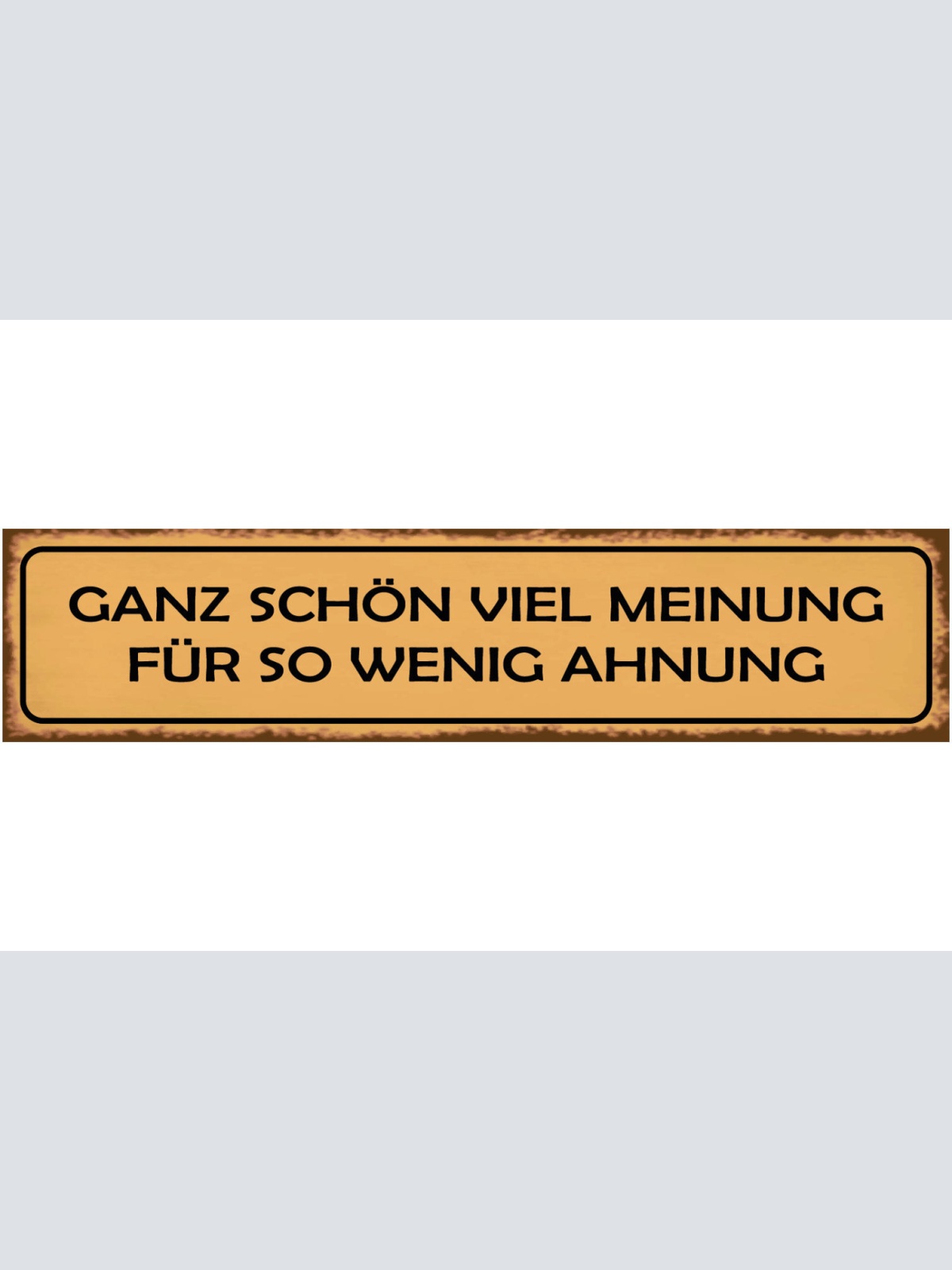 Schild Meinung Wenig Ahnung Wissen Verständnis Ansicht 46 x 10 Blech od. Holz