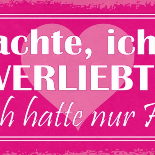 Schild Ich Dachte Ich Wäre Verliebt Aber Ich Hatte Nur Hunger 27x10Blech od.Holz