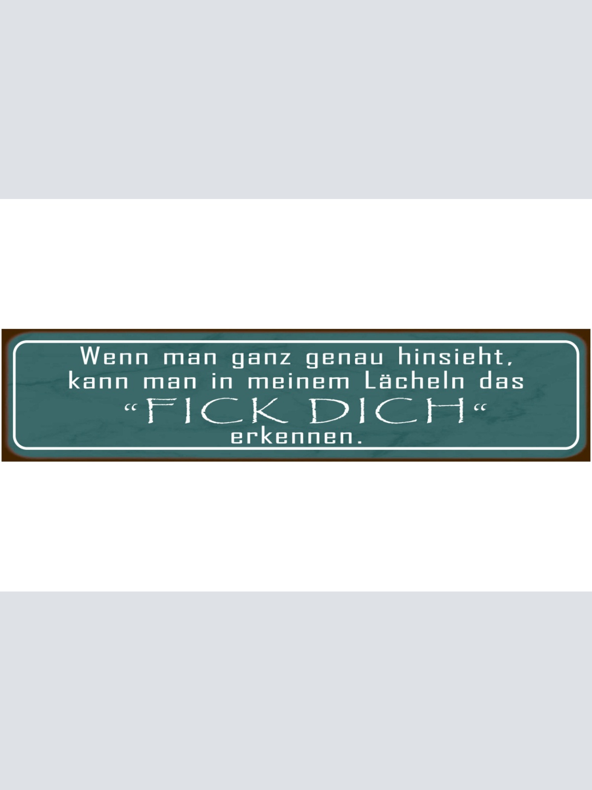 Schild Falsches Lächeln Fick Dich Heucheln Egal So Tun Als 46 x 10 Blech od.Holz