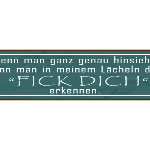 Schild Falsches Lächeln Fick Dich Heucheln Egal So Tun Als 46 x 10 Blech od.Holz