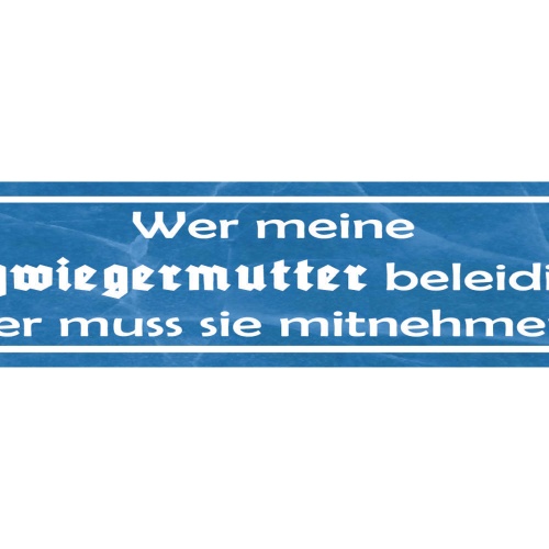 Schild Schwiegermutter Beleidigung Mama Liebe Familie 46 x 10 Blech od. Holz