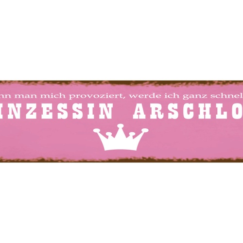Schild Prinzessin Arschloch Provozieren Wütend Charakter 46 x 10 Blech od. Holz