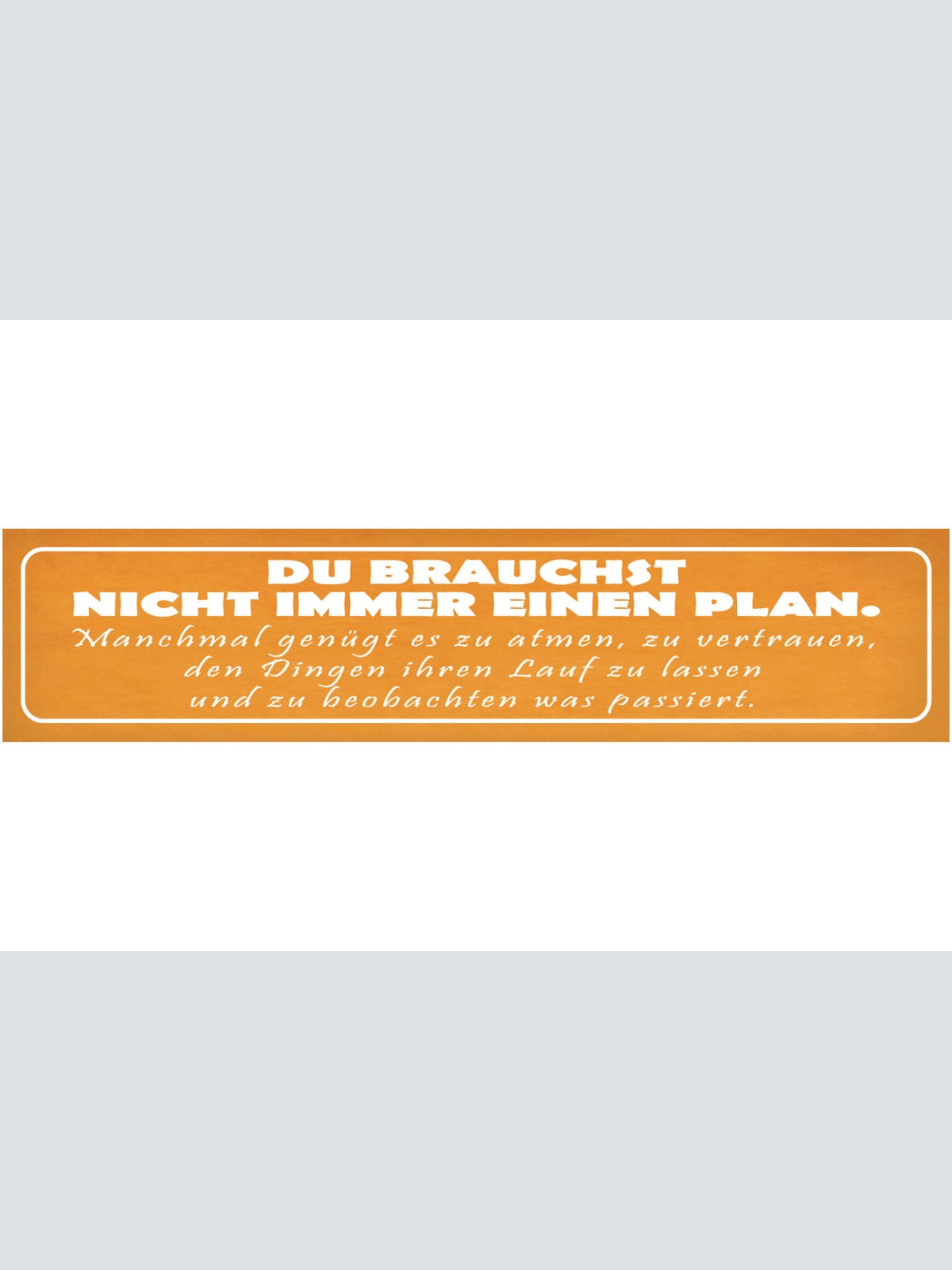 Schild Plan Atmen Vertrauen Beobachten Passieren Lassen 46 x 10 Blech od. Holz
