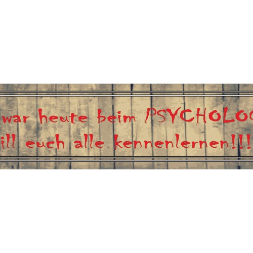 Schild Psychologen Euch Kennenlernen Verrückt Therapie 46 x 10 Blech od. Holz