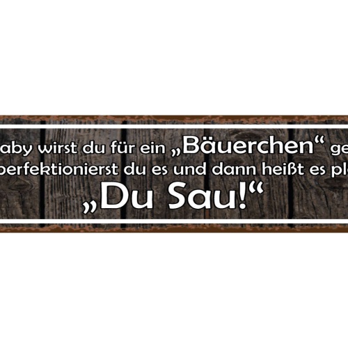 Schild Baby Bäuerchen Aufstoßen Rülpsen Perfektion Sau 46 x 10 Blech od. Holz