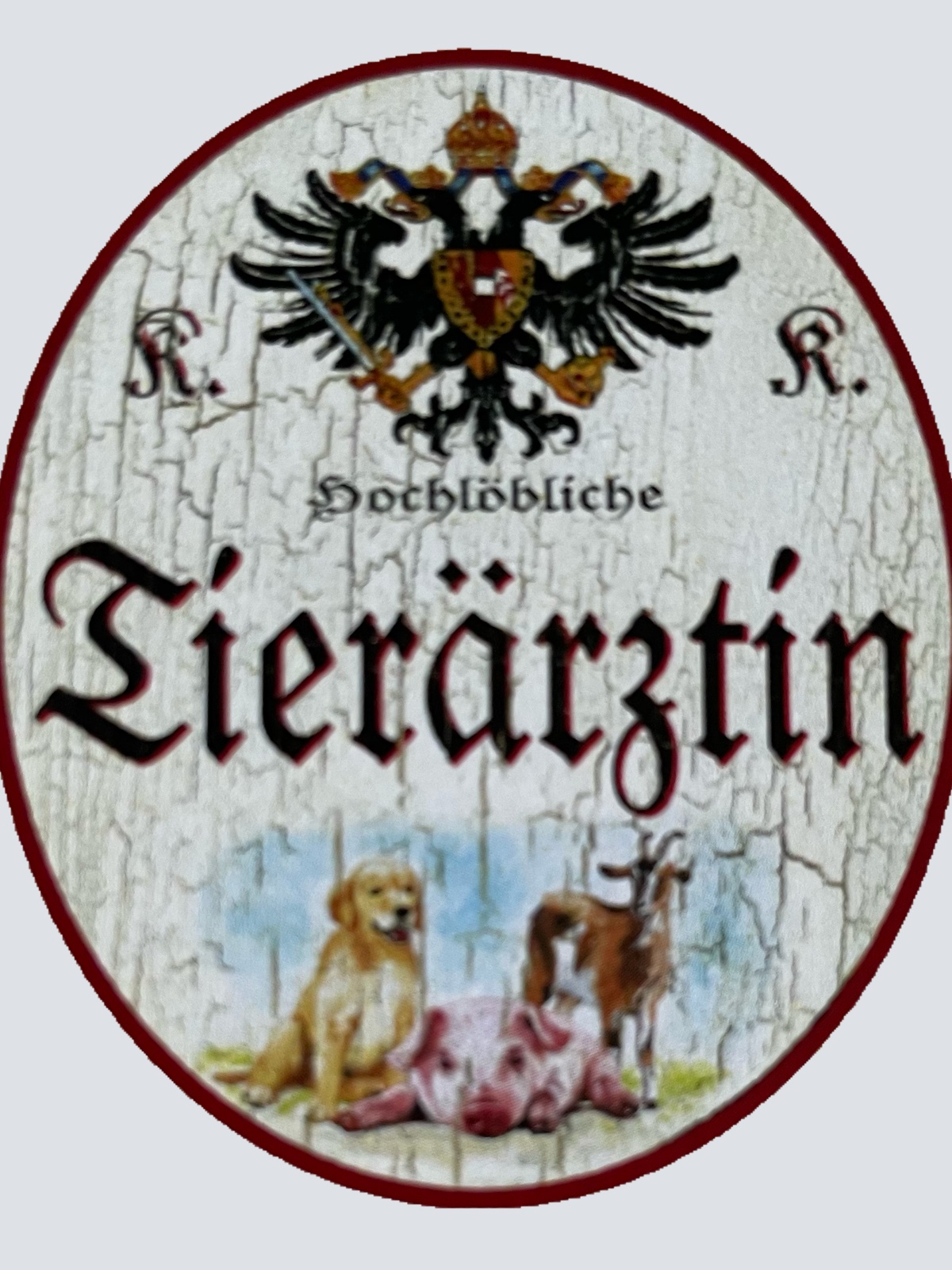 KuK Nostalgie Holzschild Hochlöbliche Tierärztin Haustier Veterinärin Schild