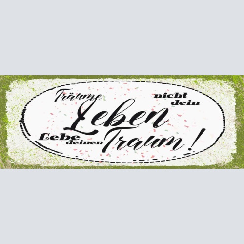 Schild Träume Nicht Dein Leben Lebe Deinen Traum Wunsch 27x10 Blech od.Holz