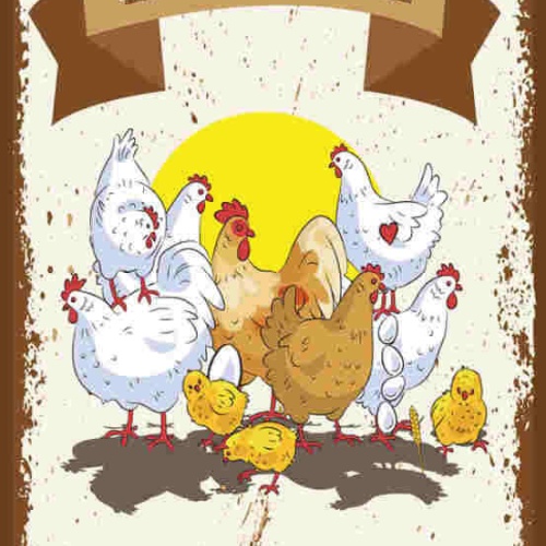 Schild Ein Leben Ohne Hühner Ist Möglich Aber Sinnlos Eier 27x10 Blech od.Holz