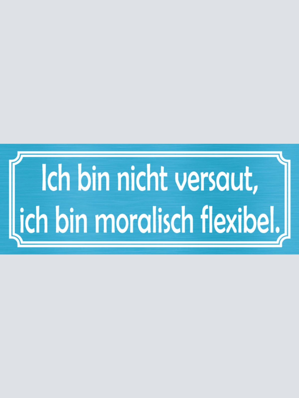 Schild Ich Bin Nicht Versaut Ich Bin Moralisch Flexibel 27x10 Blech od.Holz