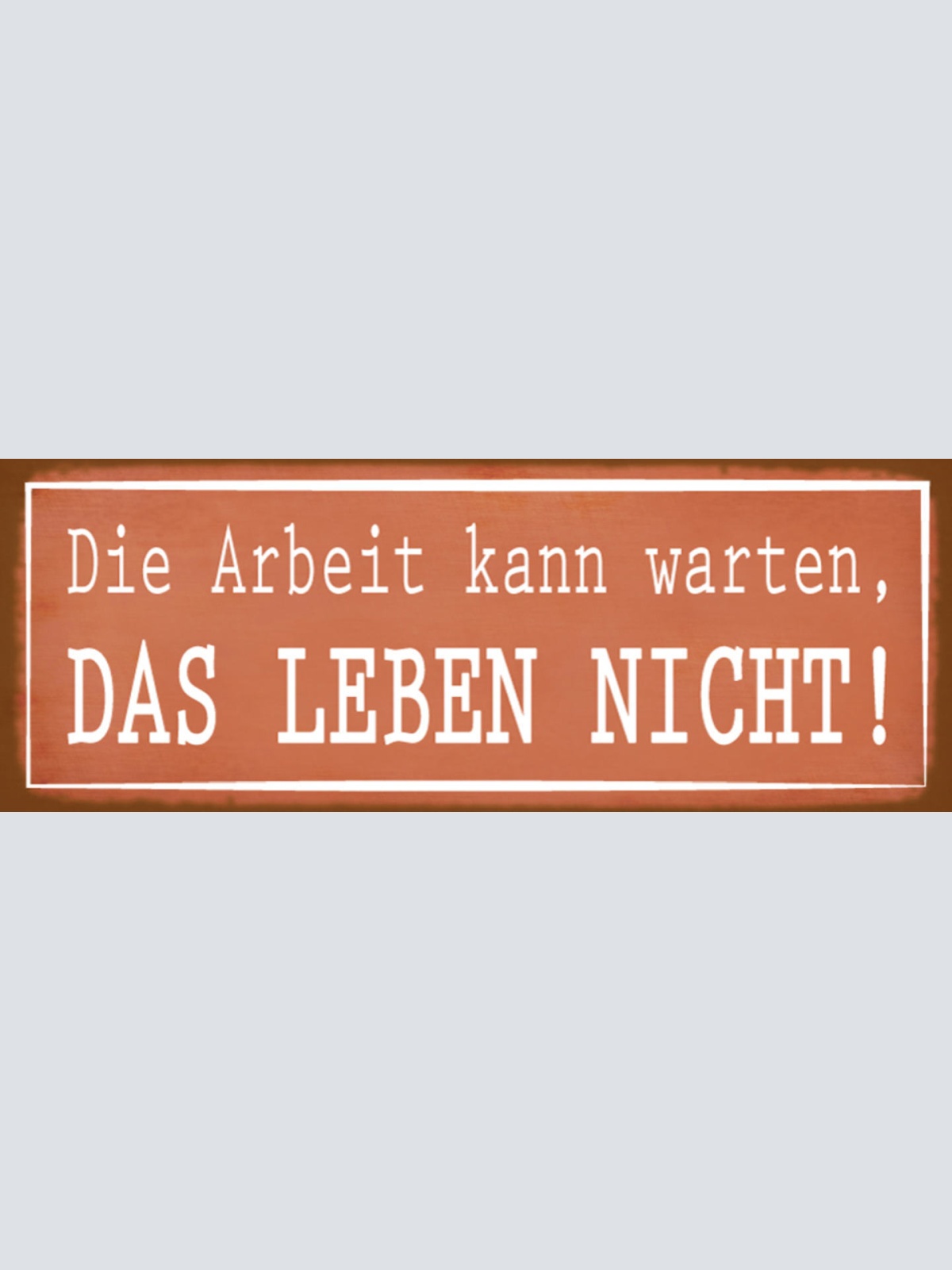 Schild Die Arbeit Kann Warten Das Leben Nicht Job Freizeit 27x10 Blech od.Holz