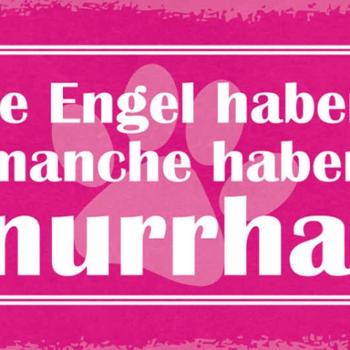 Schild Nicht Alle Engel Haben Flügel Manche Haben Schnurrhaare Katze Tier 27x10